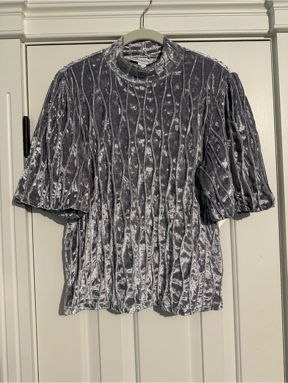 Anthropologie Calligraphie Silver Velvet Mock Neck Puff Sleeve Top Large Holiday